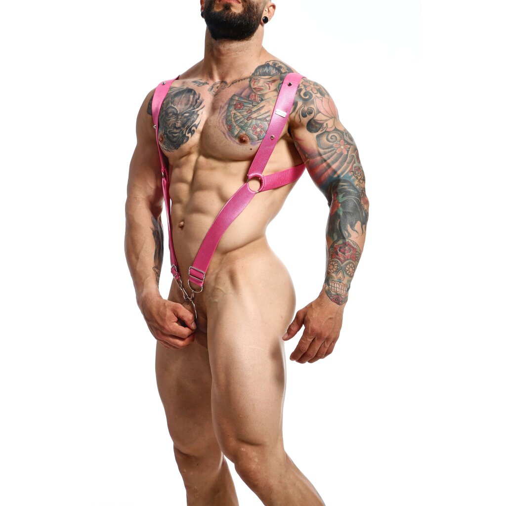 * DNGEON Striaght Back Harness Pink / O/S