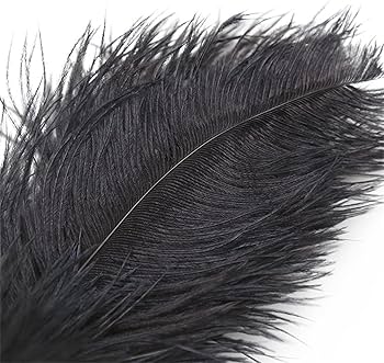 Black Love Feathers