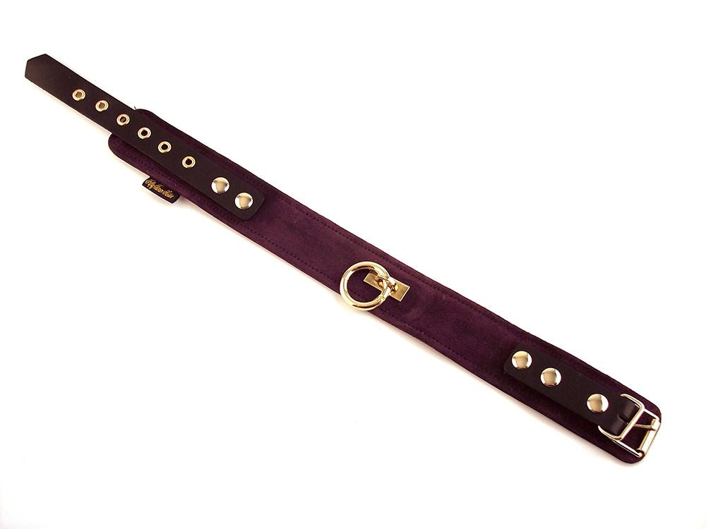 Rouge - Suede Collar - Purple