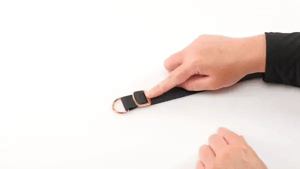 Sportsheets - Under The Bed Restraint Special Edition