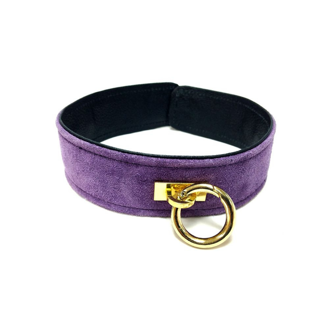 Rouge - Suede Collar - Purple