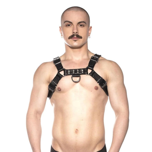 Prowler Red Bull Harness - Black XL