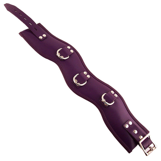 Rouge - Leather Padded Posture Collar - Purple