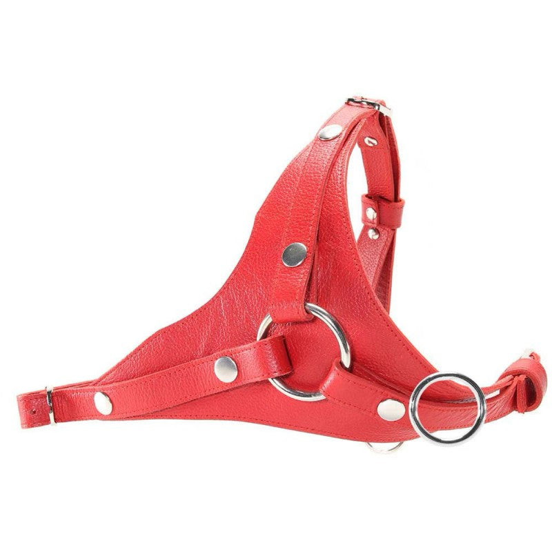 Rouge - Leather Dildo Harness - Red